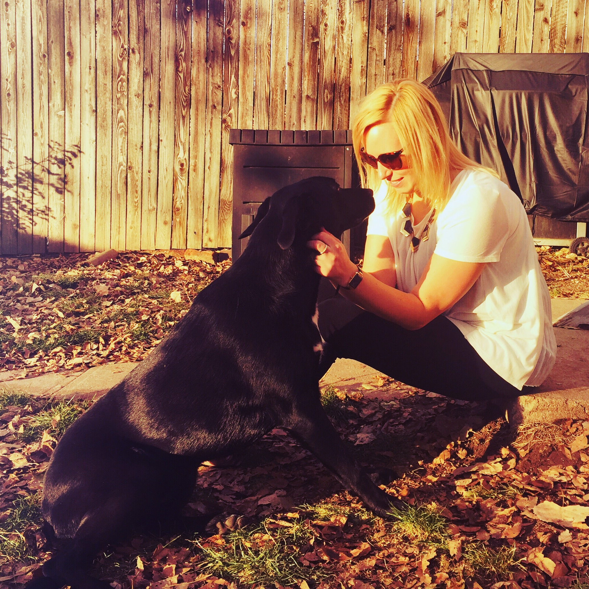 Chelsey Fretz Art: Bark Art Custom Pet Portraits, Canvas Art & Prints